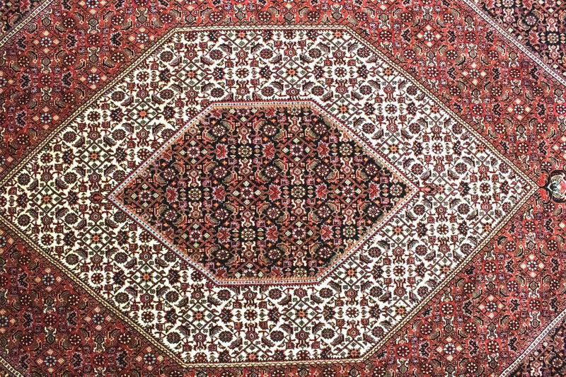 ビジャー 絨毯 300x207cm - ペルシャ絨毯