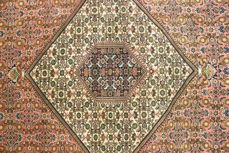 ビジャー 絨毯 310x200cm - ペルシャ絨毯
