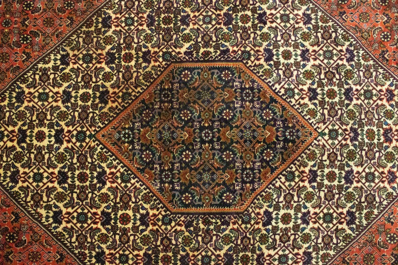 ビジャー 絨毯 300x202cm - ペルシャ絨毯