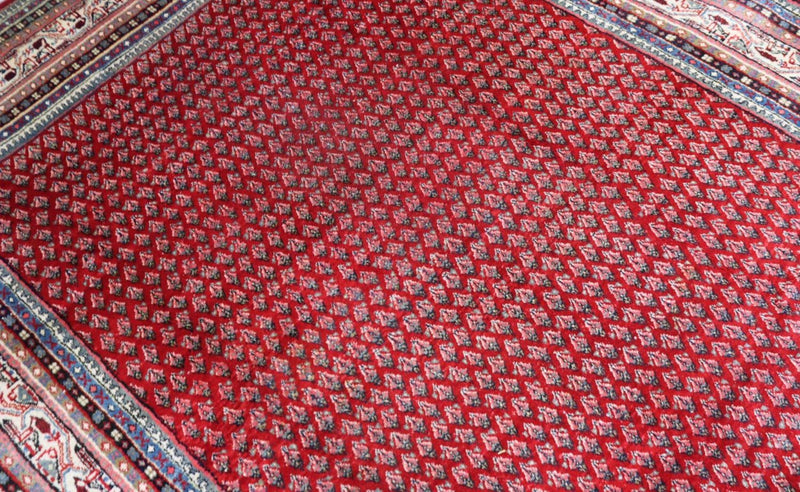 サルーク 絨毯 317x220cm - ペルシャ絨毯