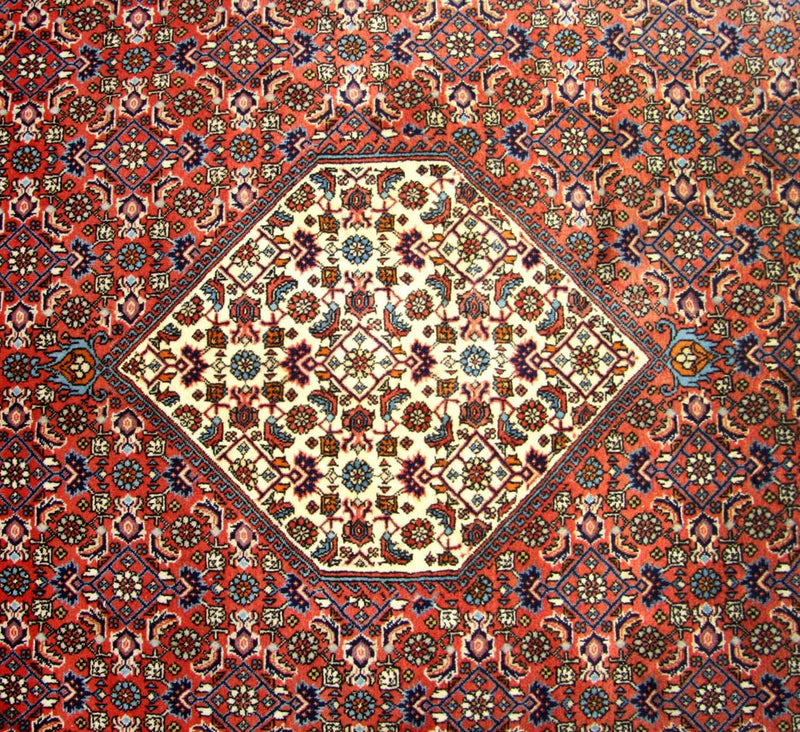 ビジャー 絨毯 260x247cm - ペルシャ絨毯