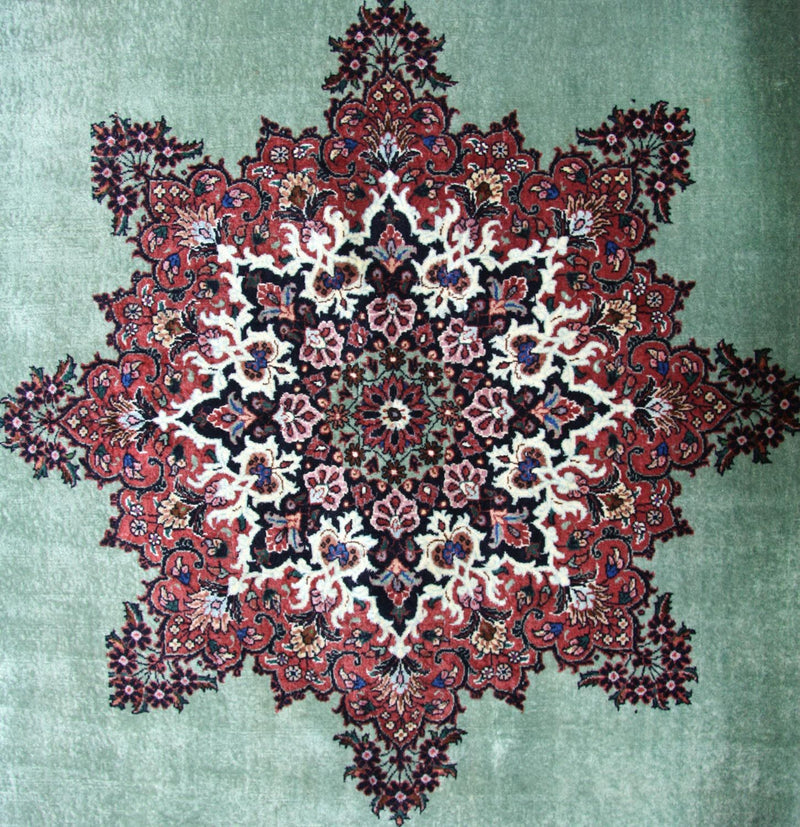 ビジャー 絨毯 248x176cm - ペルシャ絨毯