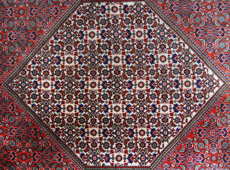 ビジャー 絨毯 255x200cm - ペルシャ絨毯