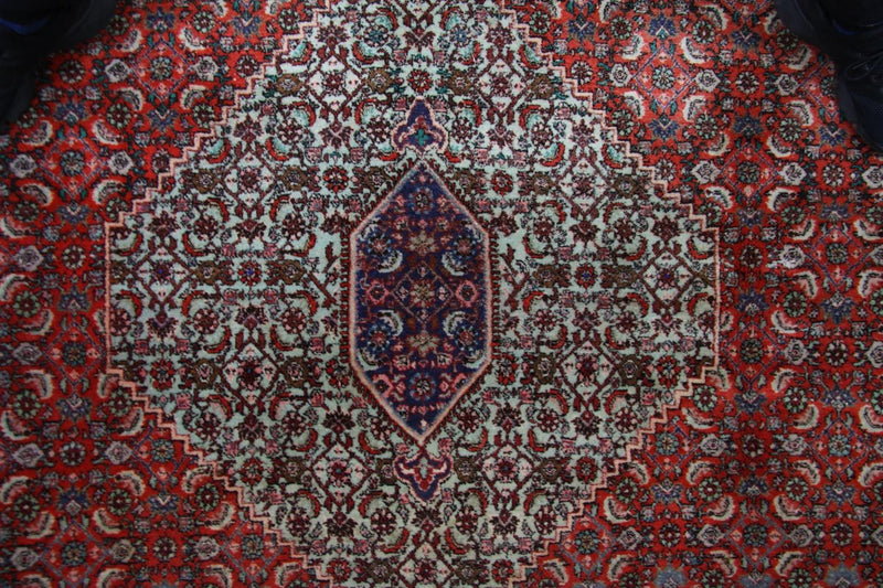 ビジャー 絨毯 335x245cm - ペルシャ絨毯