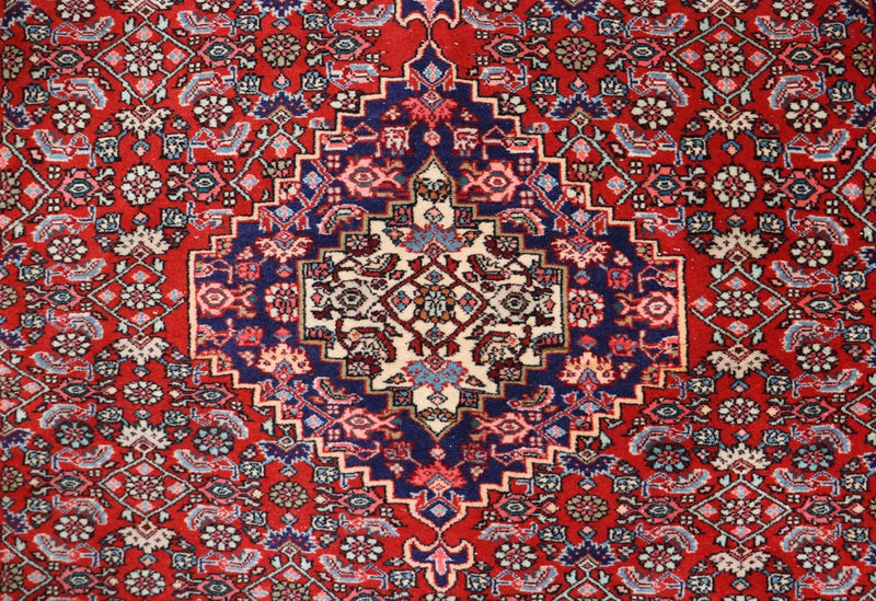ビジャー 絨毯 170x110cm - ペルシャ絨毯