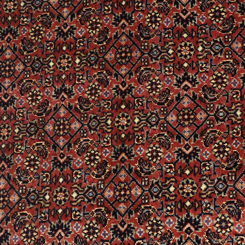 ビジャー 絨毯 148x91cm - ペルシャ絨毯