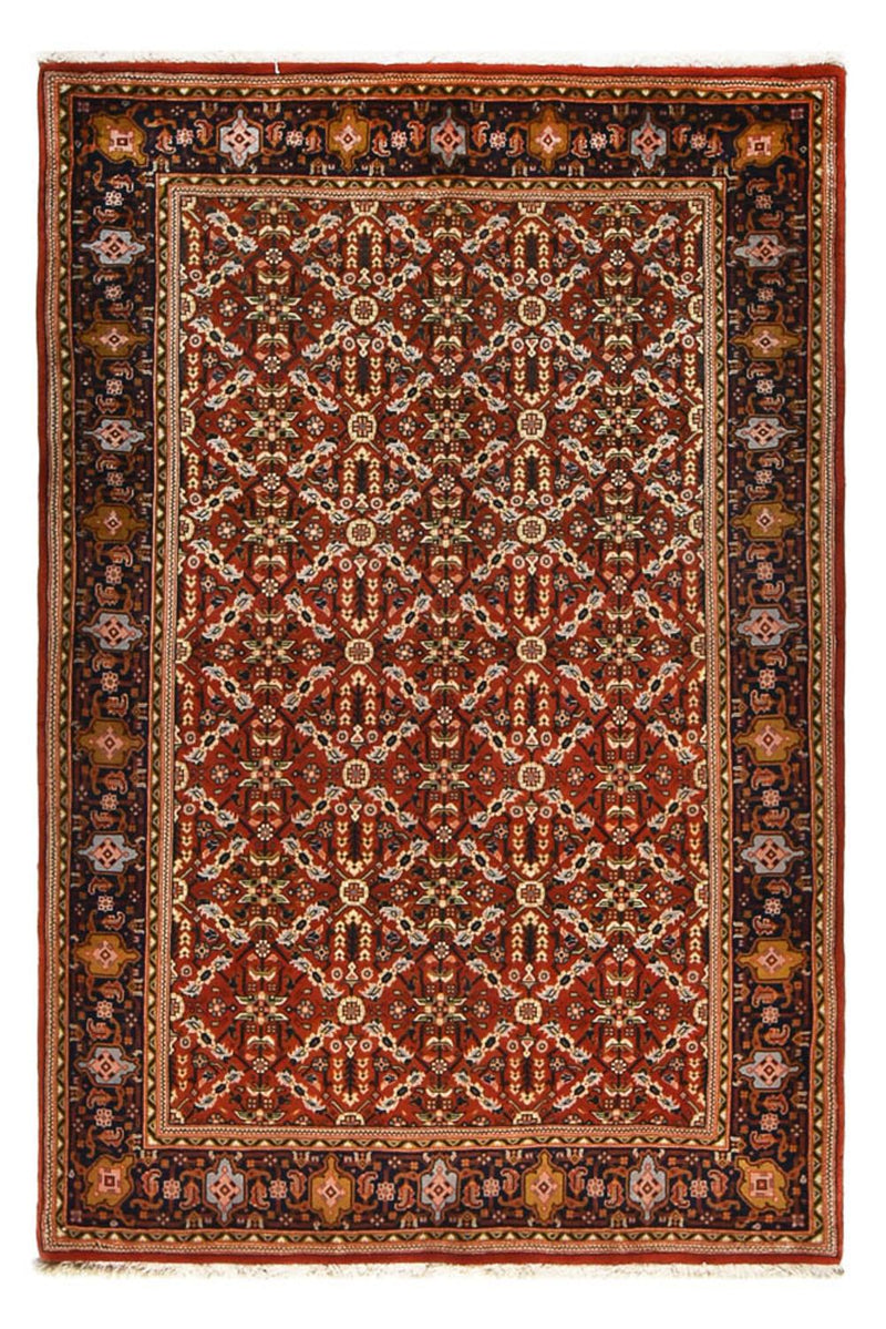 サルーク 絨毯 210x138cm - ペルシャ絨毯