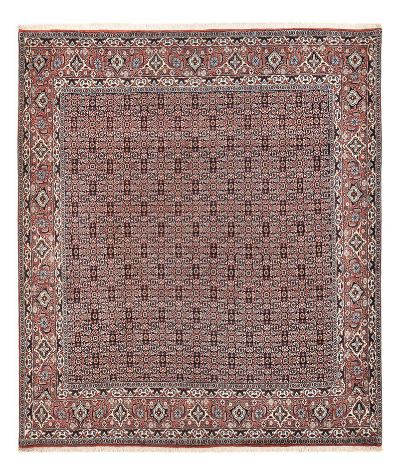 ビジャー 絨毯 243x206cm - ペルシャ絨毯