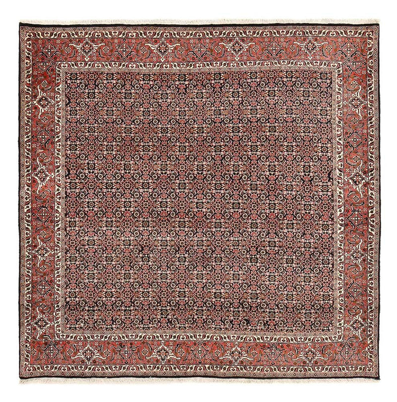 ビジャー 絨毯 205x205cm - ペルシャ絨毯