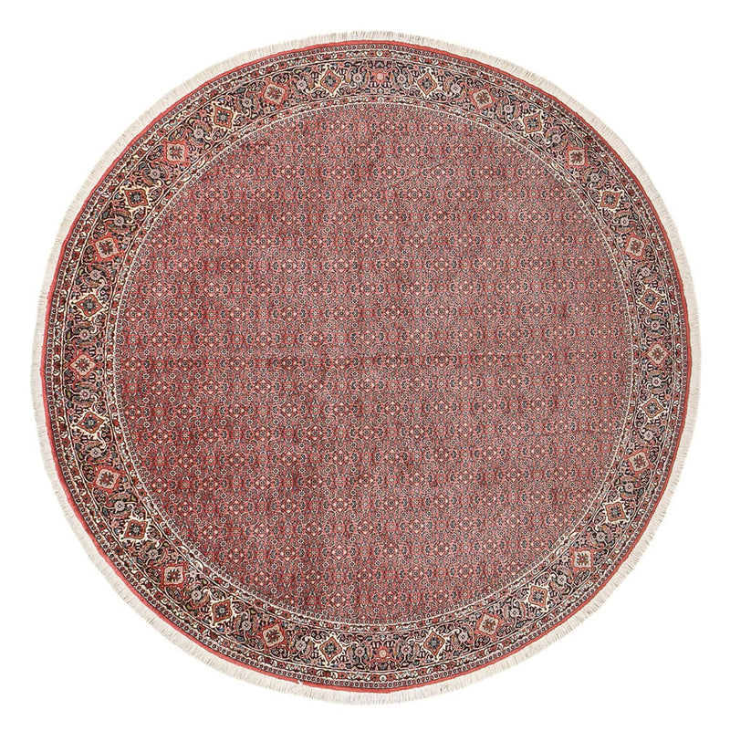ビジャー 絨毯 300x300cm - ペルシャ絨毯