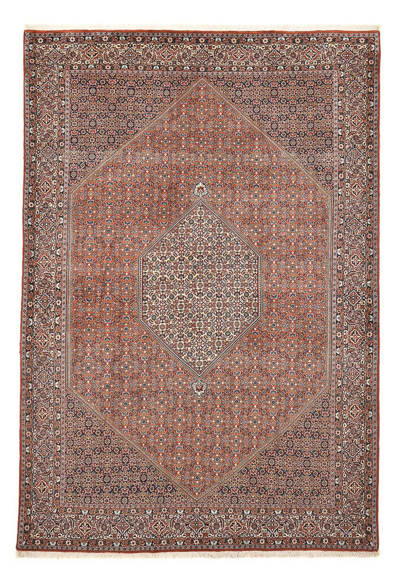 ビジャー 絨毯 298x198cm - ペルシャ絨毯