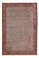 ビジャー 絨毯 300x203cm - ペルシャ絨毯