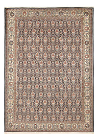 カシュクリ 絨毯 290x202cm - ペルシャ絨毯 – product image