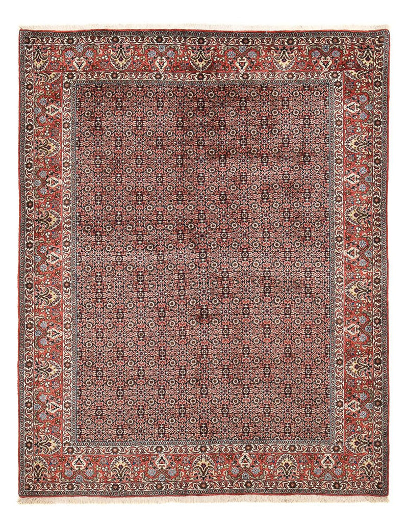 ビジャー 絨毯 247x194cm - ペルシャ絨毯