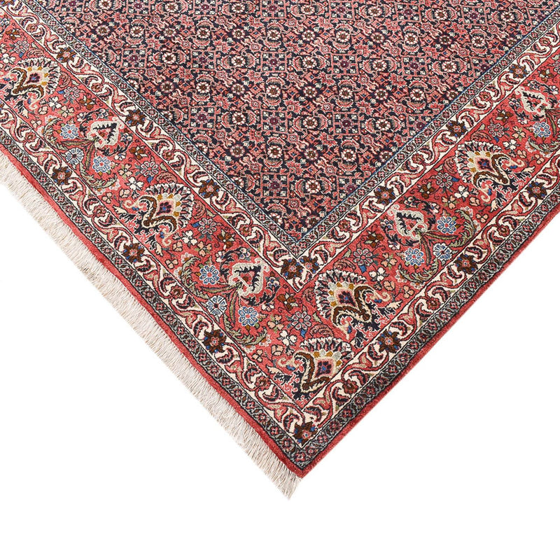 ビジャー 絨毯 247x194cm - ペルシャ絨毯