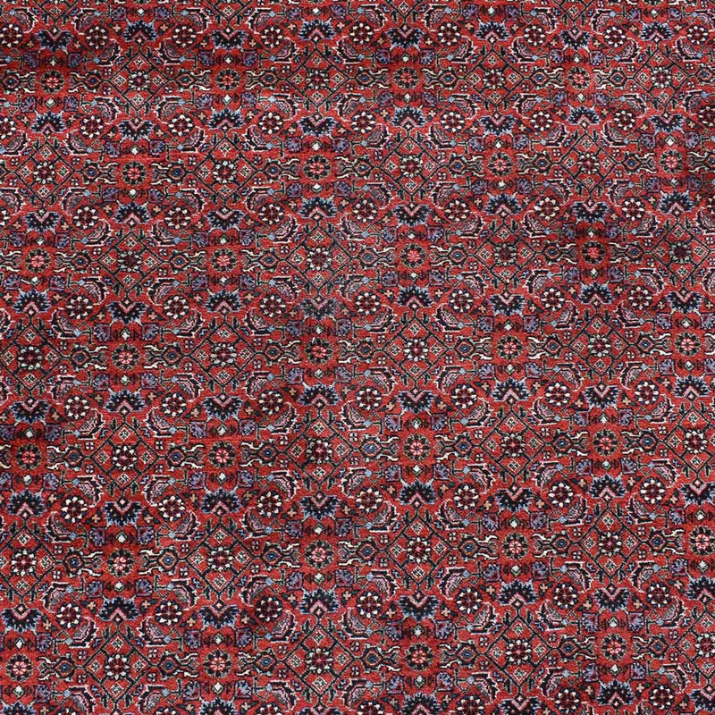 ビジャー 絨毯 490x350cm - ペルシャ絨毯