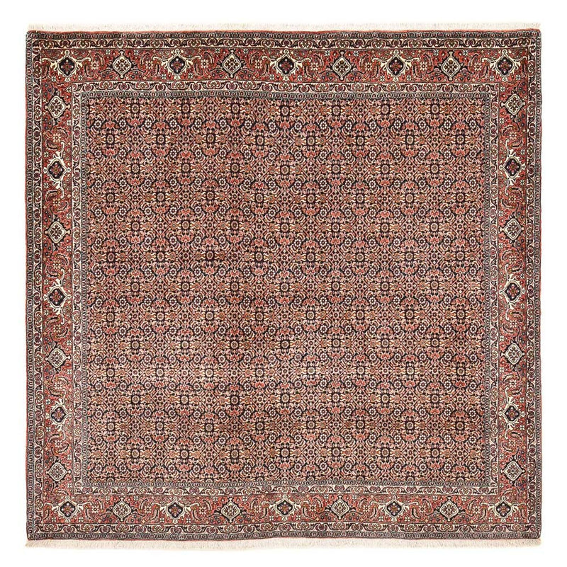 ビジャー 絨毯 204x203cm - ペルシャ絨毯