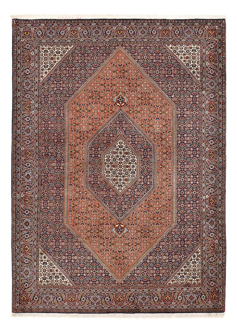 ビジャー 絨毯 250x180cm - ペルシャ絨毯