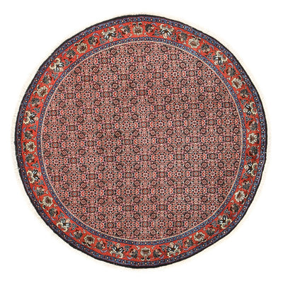 ビジャー 絨毯 153x153cm - ペルシャ絨毯