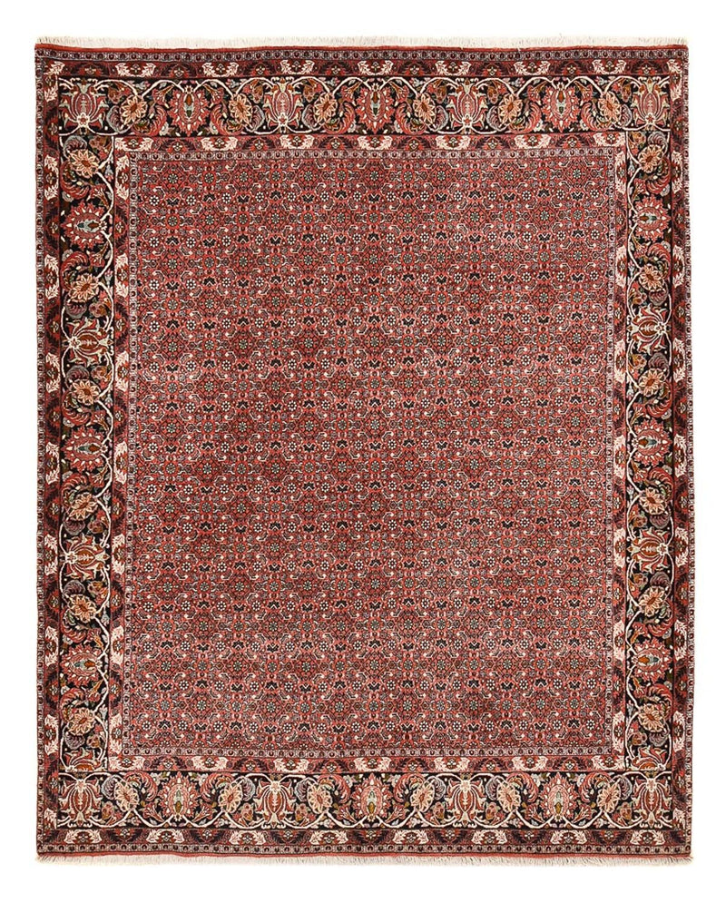 ビジャー 絨毯 250x200cm - ペルシャ絨毯