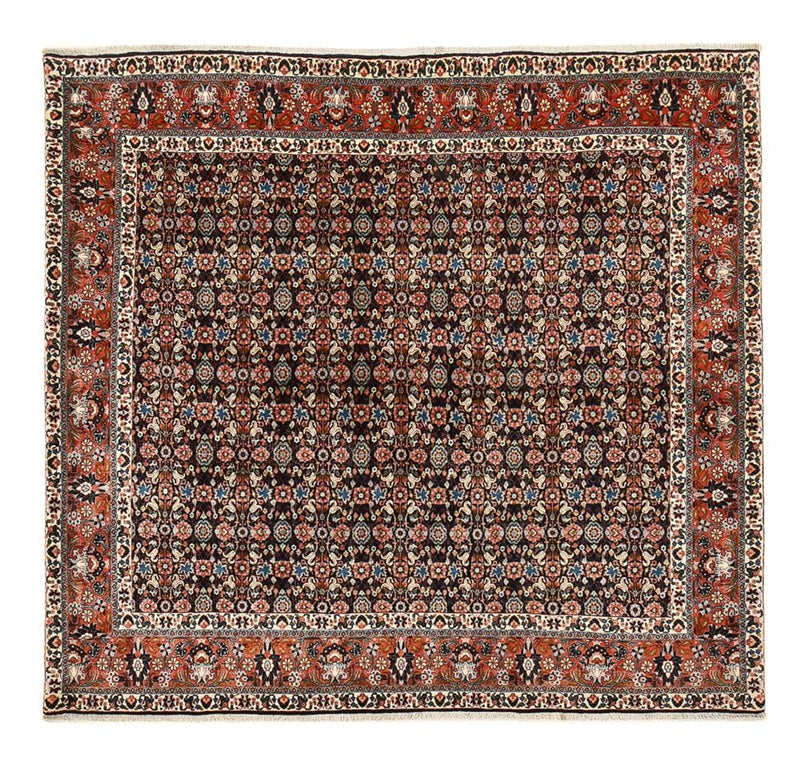 ビジャー 絨毯 254x243cm - ペルシャ絨毯