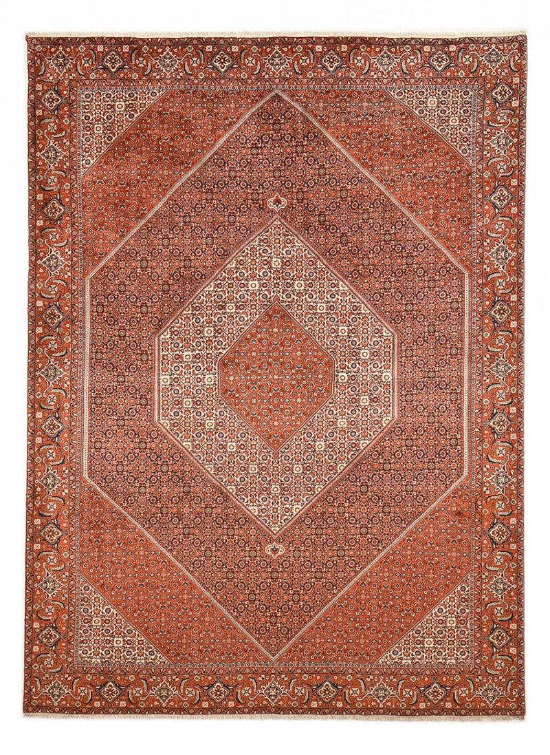 ビジャー 絨毯 328x236cm - ペルシャ絨毯