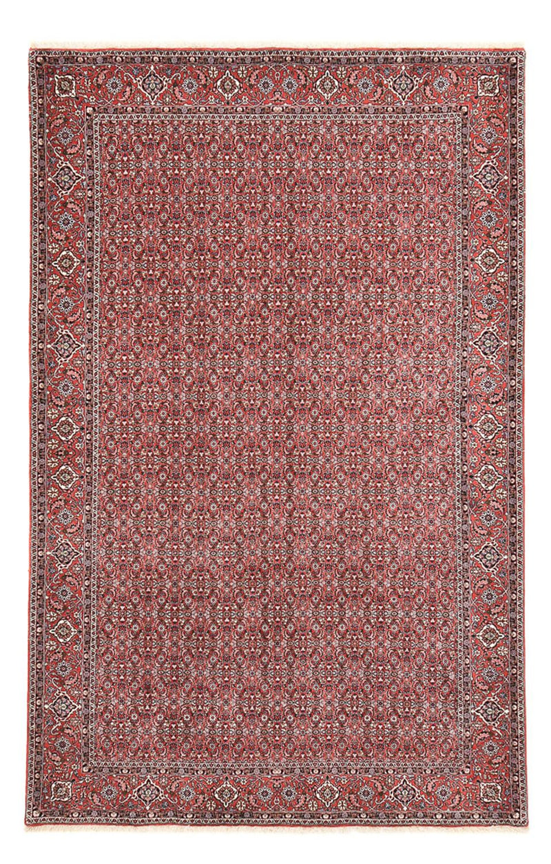 ビジャー 絨毯 347x221cm - ペルシャ絨毯