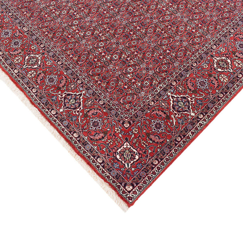 ビジャー 絨毯 347x221cm - ペルシャ絨毯