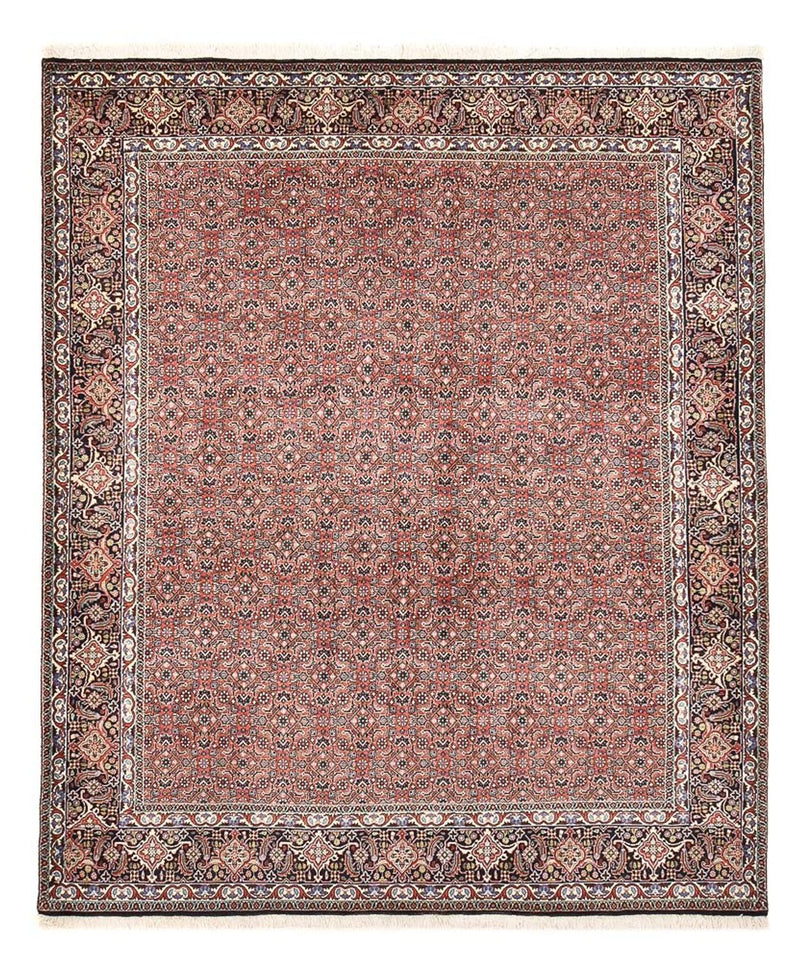 ビジャー 絨毯 244x204cm - ペルシャ絨毯