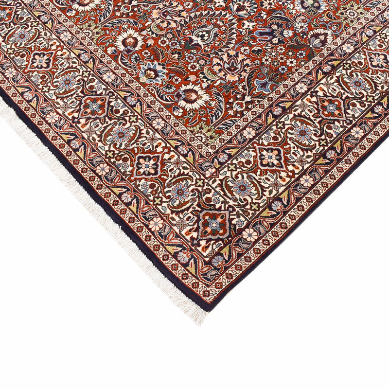 ビジャー 絨毯 300x205cm - ペルシャ絨毯