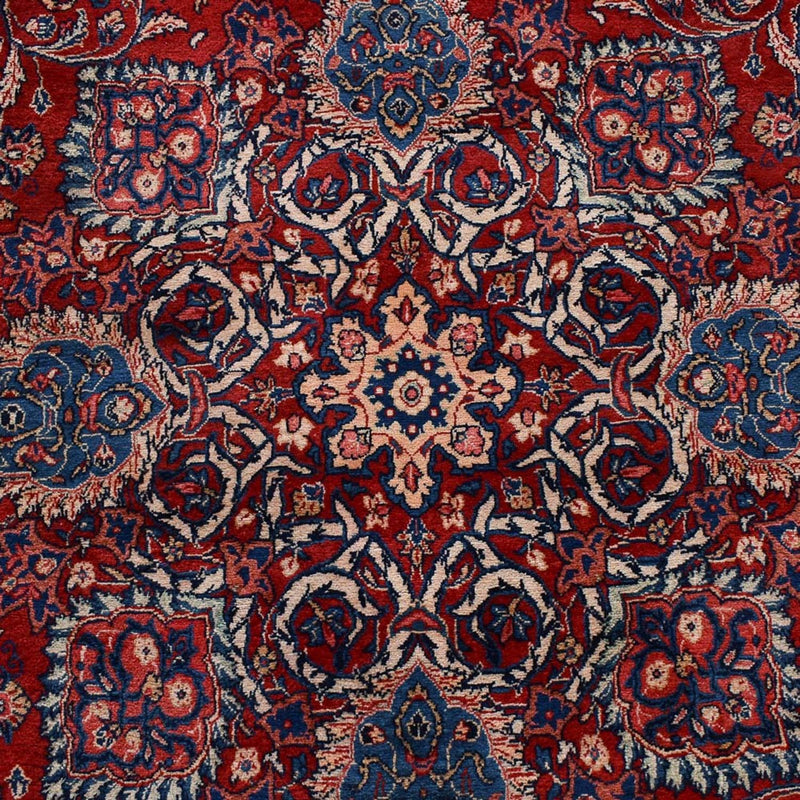 サルーク 絨毯 486x315cm - ペルシャ絨毯