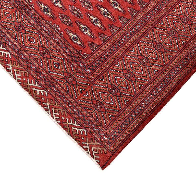 トルカマン絨毯 338x253cm - ペルシャ絨毯