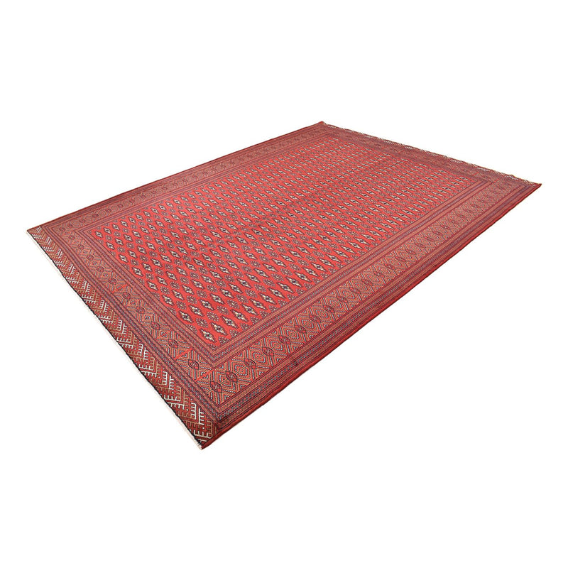 トルカマン絨毯 338x253cm - ペルシャ絨毯