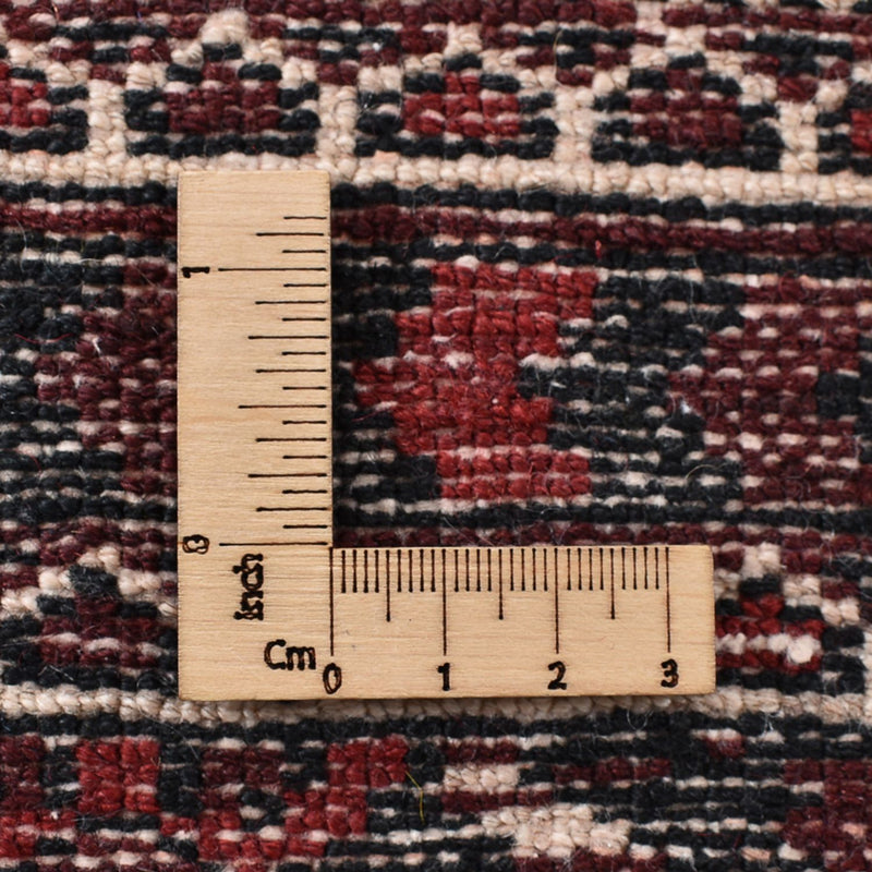 トルカマン絨毯 303x200cm - ペルシャ絨毯