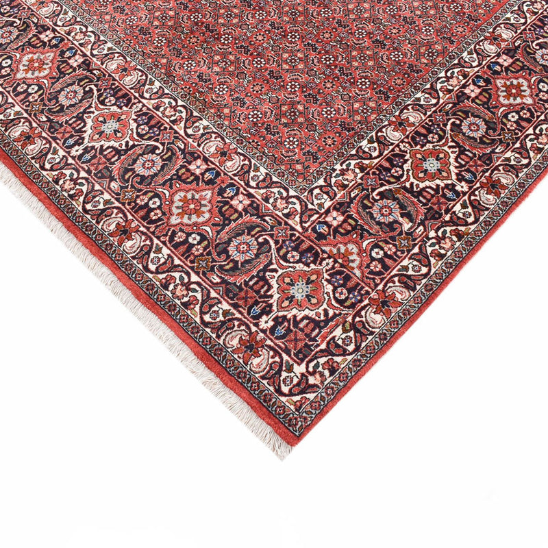 ビジャー 絨毯 300x203cm - ペルシャ絨毯