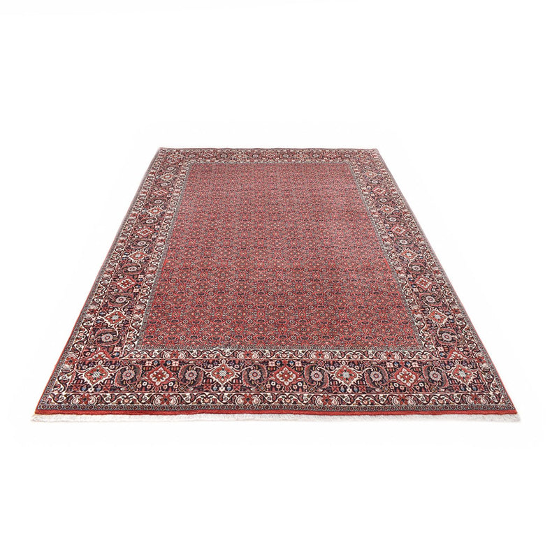ビジャー 絨毯 300x203cm - ペルシャ絨毯