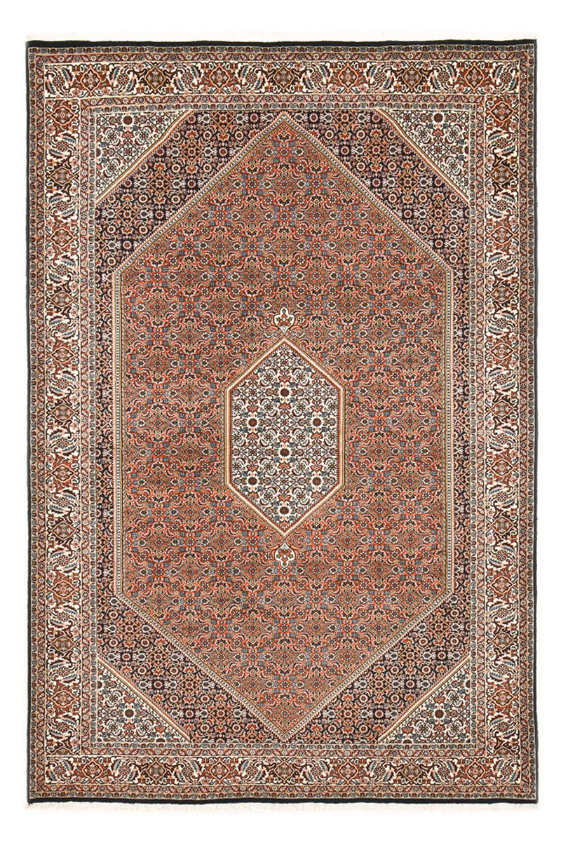 ビジャー 絨毯 300x200cm - ペルシャ絨毯