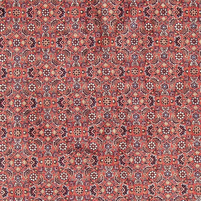 ビジャー 絨毯 305x305cm - ペルシャ絨毯