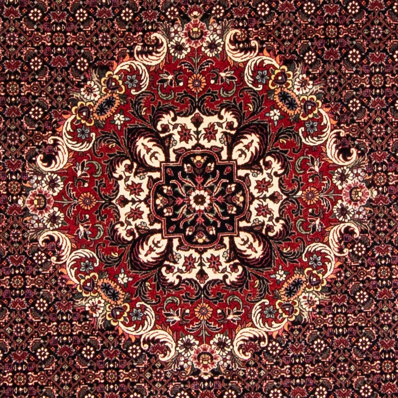 ビジャー 絨毯 250x250cm - ペルシャ絨毯