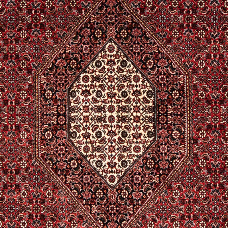 ビジャー 絨毯 240x166cm - ペルシャ絨毯