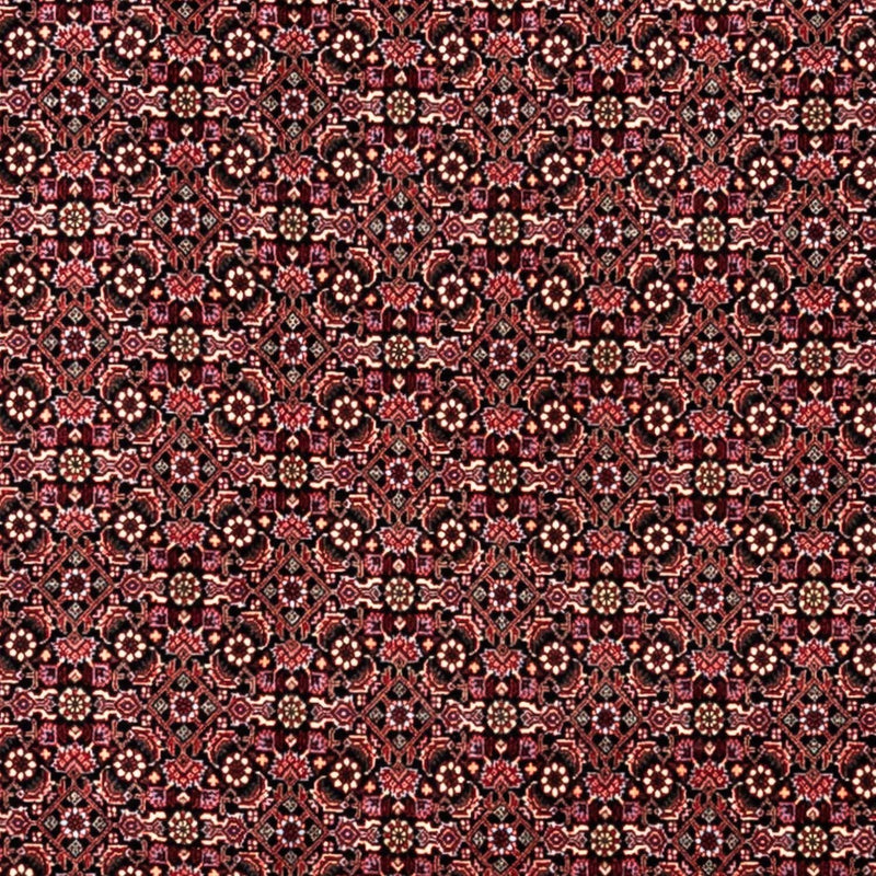 ビジャー - タカブ 絨毯 346x250cm - ペルシャ絨毯