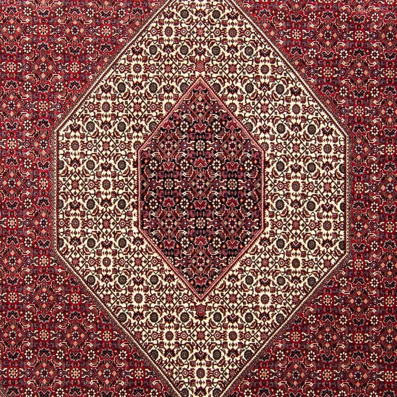 ビジャー 絨毯 303x250cm - ペルシャ絨毯
