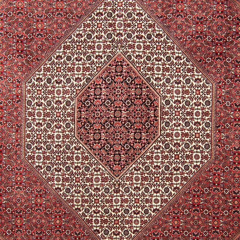 ビジャー 絨毯 309x256cm - ペルシャ絨毯