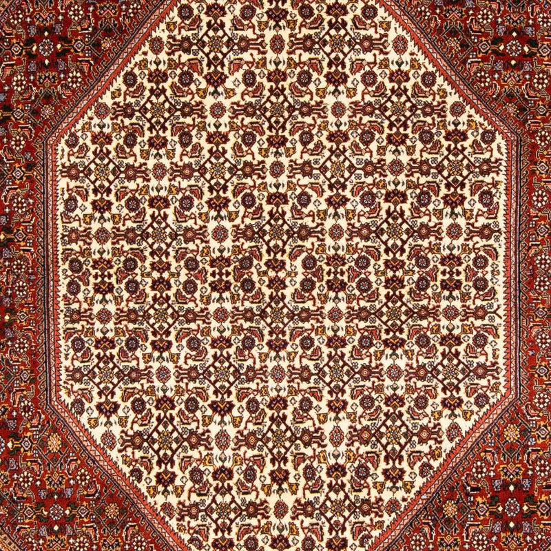 ビジャー 絨毯 231x163cm - ペルシャ絨毯