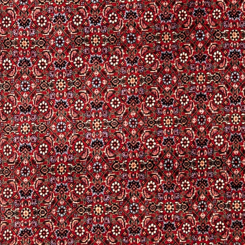 ビジャー - タカブ 絨毯 331x254cm - ペルシャ絨毯