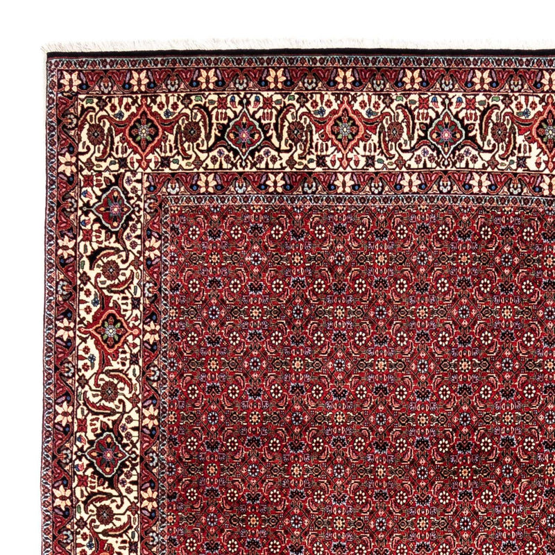 ビジャー - タカブ 絨毯 331x254cm - ペルシャ絨毯
