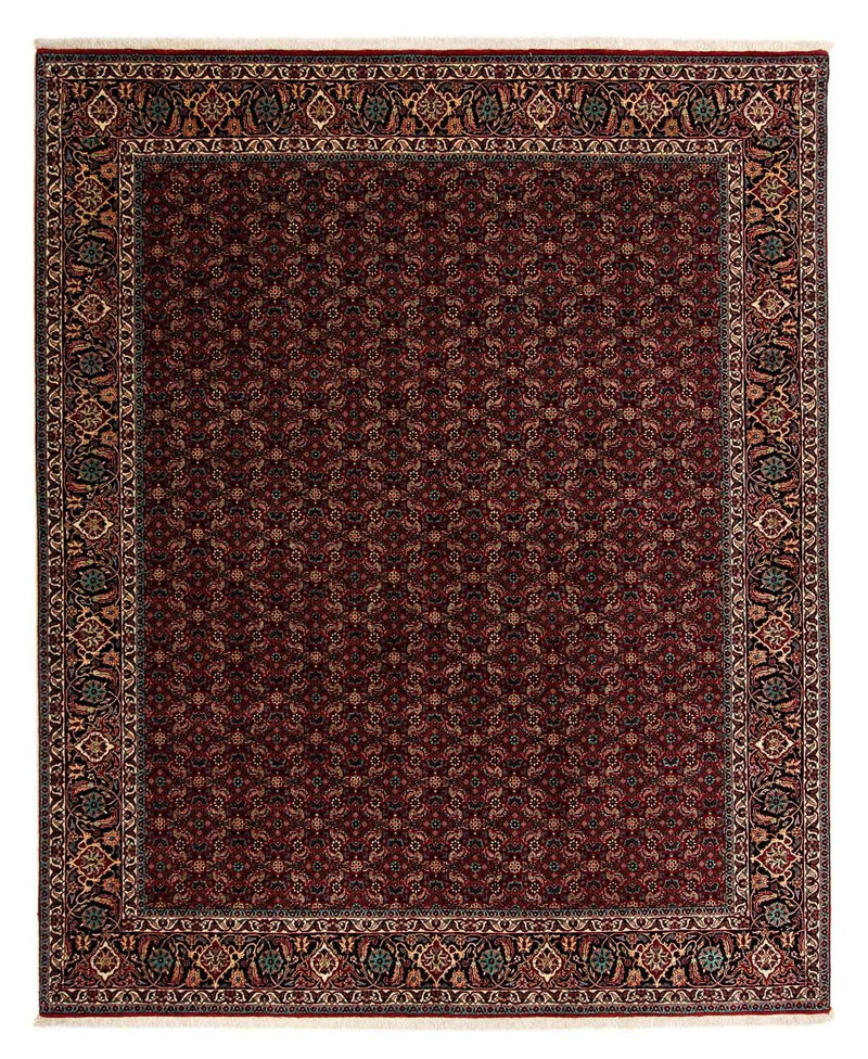 ビジャー 絨毯 252x206cm - ペルシャ絨毯