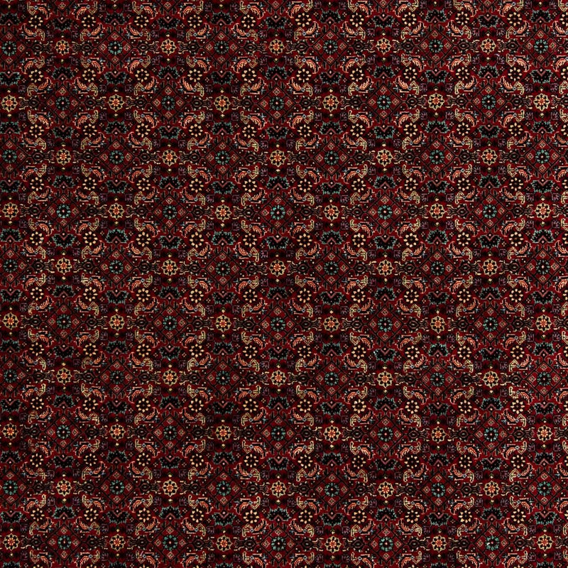 ビジャー 絨毯 252x206cm - ペルシャ絨毯