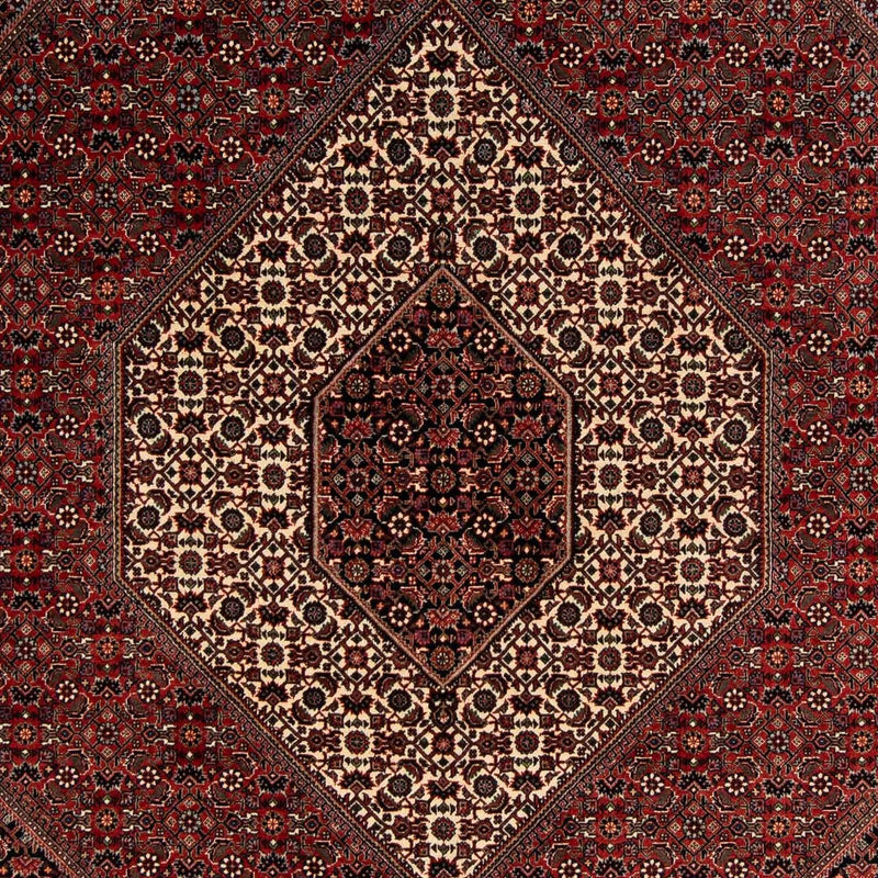 ビジャー 絨毯 259x200cm - ペルシャ絨毯