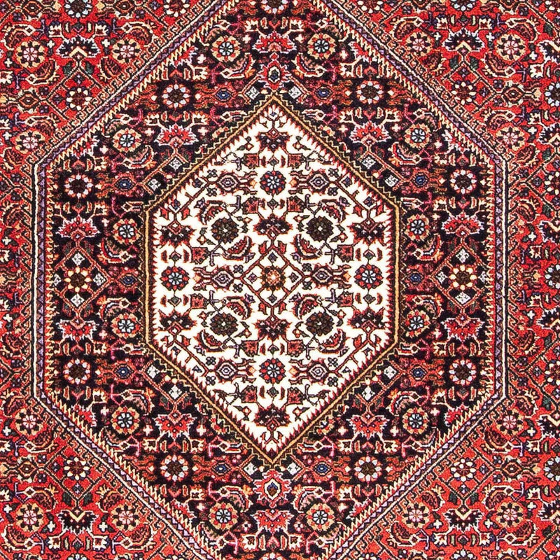 ビジャー 絨毯 170x109cm - ペルシャ絨毯